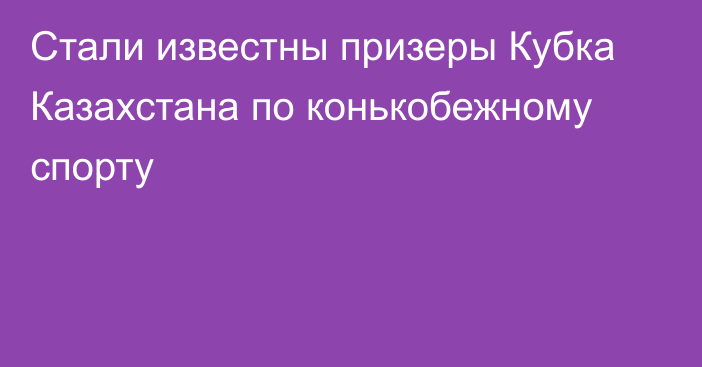 Стали известны призеры Кубка Казахстана по конькобежному спорту