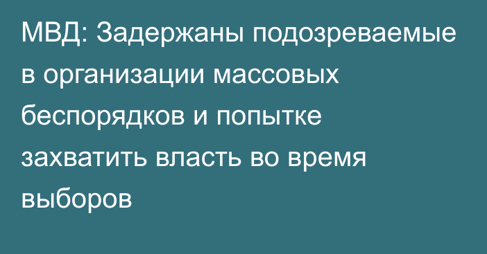 МВД: Задержаны подозреваемые в организации массовых беспорядков и попытке захватить власть во время выборов