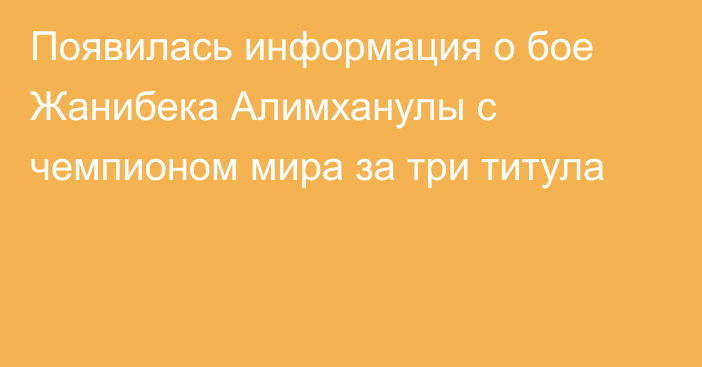 Появилась информация о бое Жанибека Алимханулы с чемпионом мира за три титула