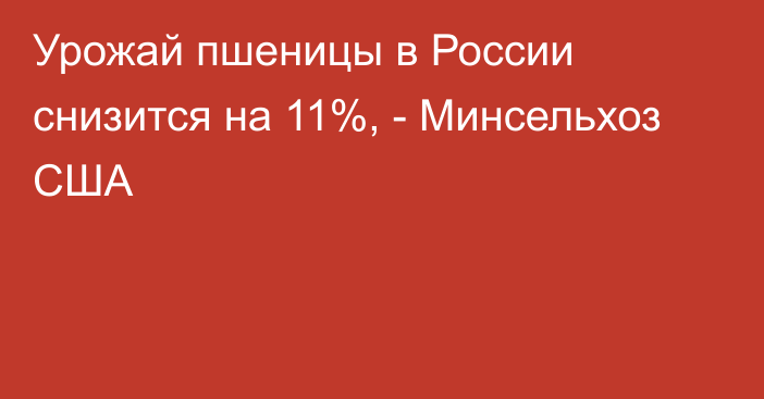 Урожай пшеницы в России снизится на 11%, - Минсельхоз США