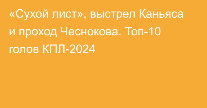 «Сухой лист», выстрел Каньяса и проход Чеснокова. Топ-10 голов КПЛ-2024