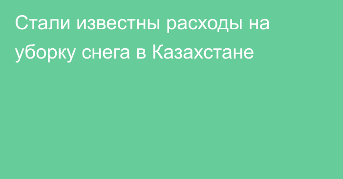 Стали известны расходы на уборку снега в Казахстане