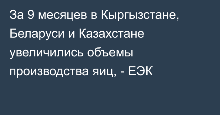 За 9 месяцев в Кыргызстане, Беларуси и Казахстане увеличились объемы производства яиц, - ЕЭК