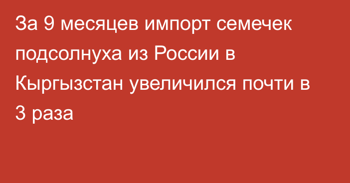 За 9 месяцев импорт семечек подсолнуха из России в Кыргызстан увеличился почти в 3 раза