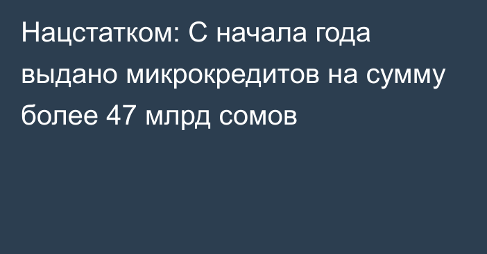 Нацстатком: С начала года выдано микрокредитов на сумму более 47 млрд сомов