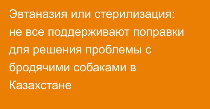 Эвтаназия или стерилизация: не все поддерживают поправки для решения проблемы с бродячими собаками в Казахстане