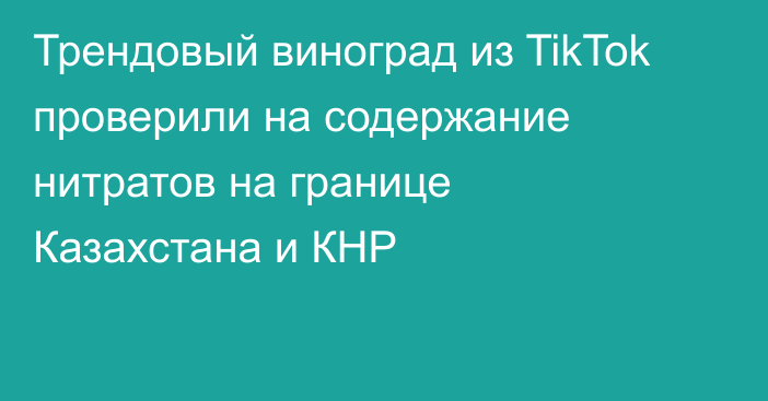 Трендовый виноград из TikTok проверили на содержание нитратов на границе Казахстана и КНР