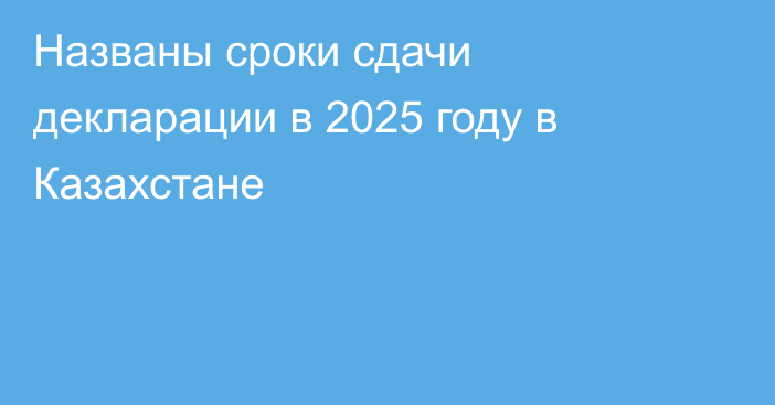 Названы сроки сдачи декларации в 2025 году в Казахстане