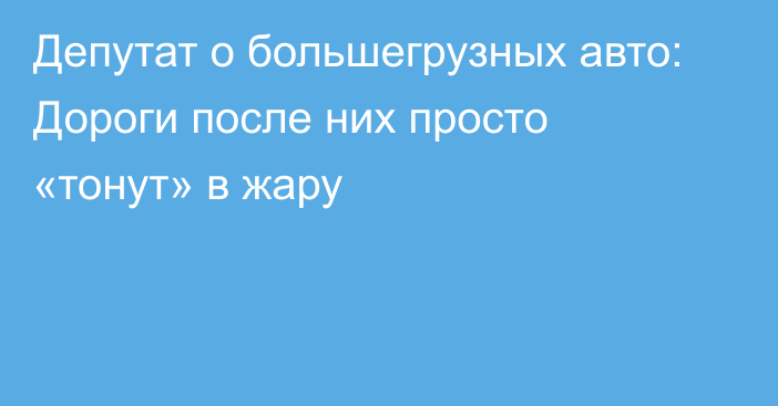 Депутат о большегрузных авто: Дороги после них просто «тонут» в жару