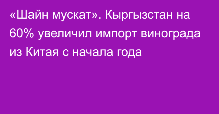 «Шайн мускат». Кыргызстан на 60% увеличил импорт винограда из Китая с начала года