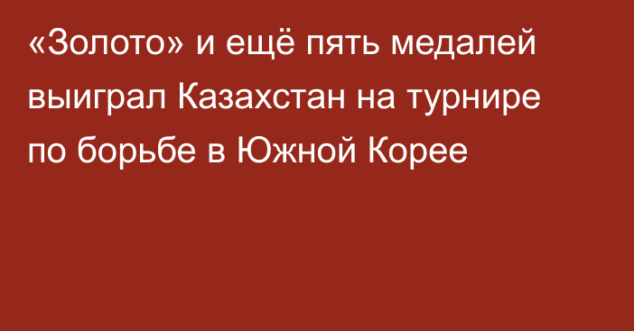 «Золото» и ещё пять медалей выиграл Казахстан на турнире по борьбе в Южной Корее