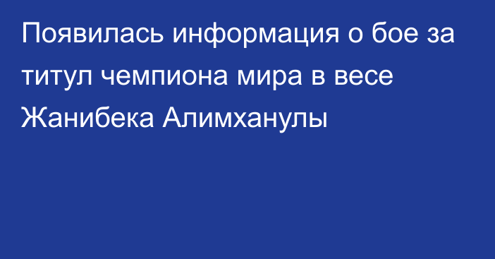 Появилась информация о бое за титул чемпиона мира в весе Жанибека Алимханулы