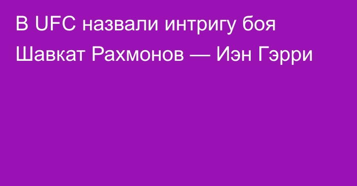 В UFC назвали интригу боя Шавкат Рахмонов — Иэн Гэрри