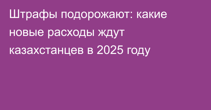 Штрафы подорожают: какие новые расходы ждут казахстанцев в 2025 году