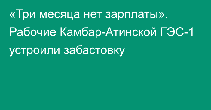 «Три месяца нет зарплаты». Рабочие Камбар-Атинской ГЭС-1 устроили забастовку