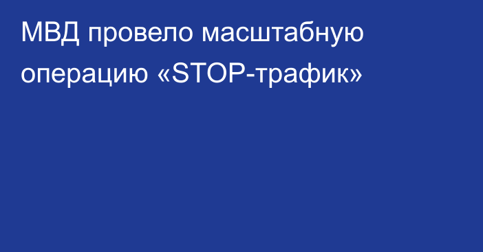 МВД провело масштабную операцию «STOP-трафик»