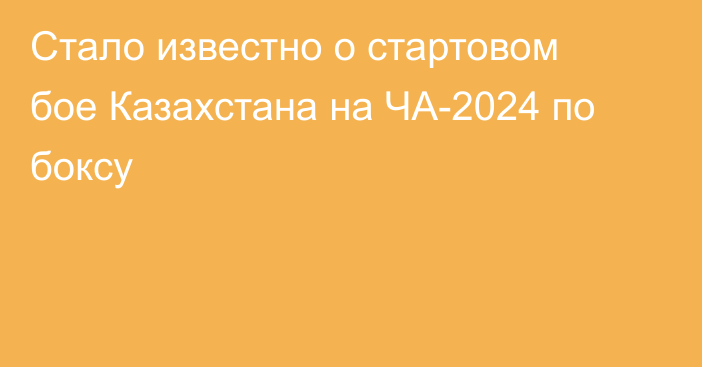 Стало известно о стартовом бое Казахстана на ЧА-2024 по боксу