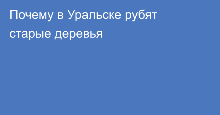 Почему в Уральске рубят старые деревья