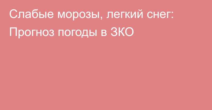 Слабые морозы, легкий снег: Прогноз погоды в ЗКО