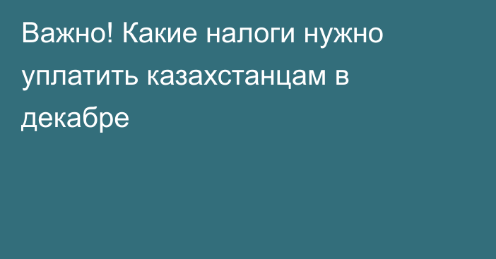 Важно! Какие налоги нужно уплатить казахстанцам в декабре