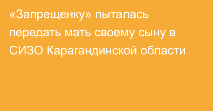 «Запрещенку» пыталась передать мать своему сыну в СИЗО Карагандинской области