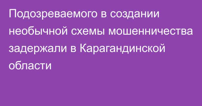 Подозреваемого в создании необычной схемы мошенничества задержали в Карагандинской области