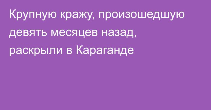 Крупную кражу, произошедшую девять месяцев назад, раскрыли в Караганде