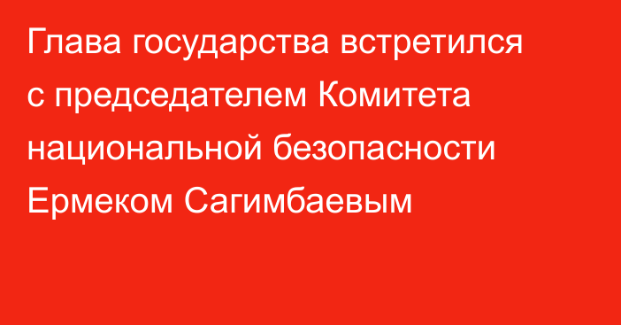 Глава государства встретился с председателем Комитета национальной безопасности Ермеком Сагимбаевым