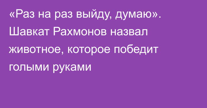 «Раз на раз выйду, думаю». Шавкат Рахмонов назвал животное, которое победит голыми руками