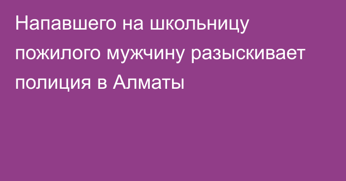 Напавшего на школьницу пожилого мужчину разыскивает полиция в Алматы