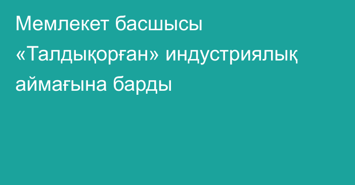 Мемлекет басшысы «Талдықорған» индустриялық аймағына барды