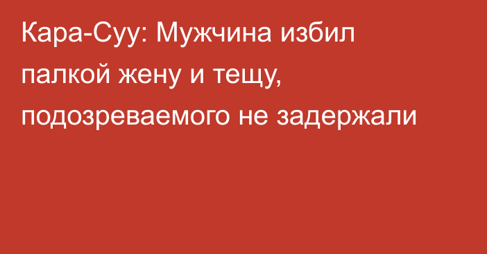 Кара-Суу: Мужчина избил палкой жену и тещу, подозреваемого не задержали