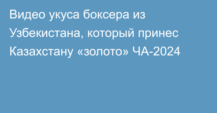 Видео укуса боксера из Узбекистана, который принес Казахстану «золото» ЧА-2024