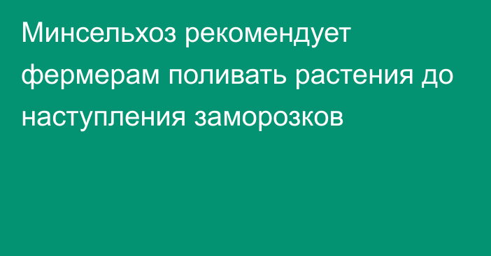 Минсельхоз рекомендует фермерам поливать растения до наступления заморозков