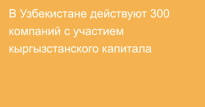 В Узбекистане действуют 300 компаний с участием кыргызстанского капитала