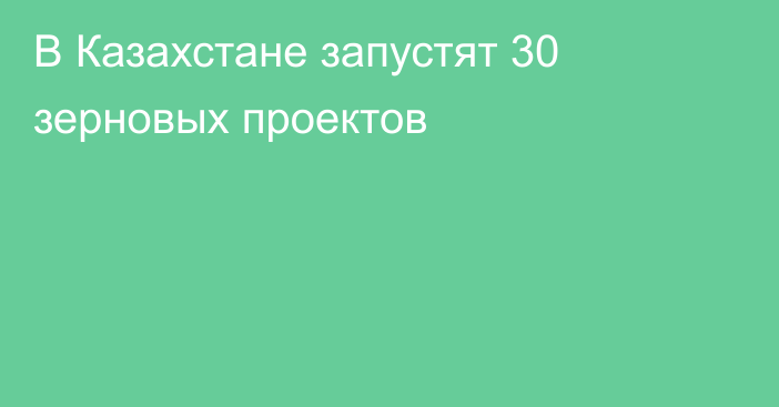 В Казахстане запустят 30 зерновых проектов