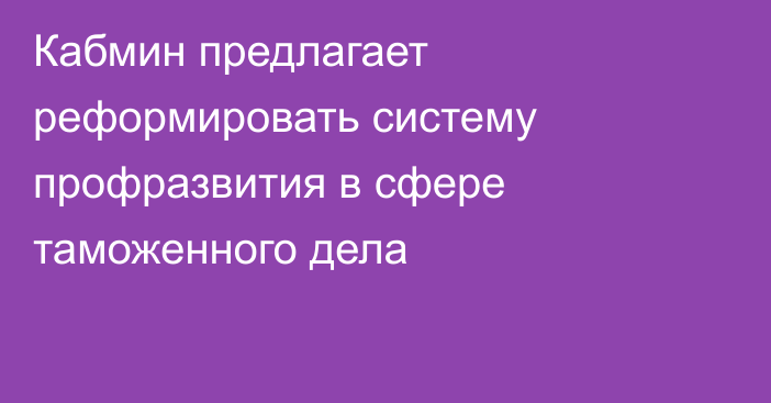 Кабмин предлагает реформировать систему профразвития в сфере таможенного дела