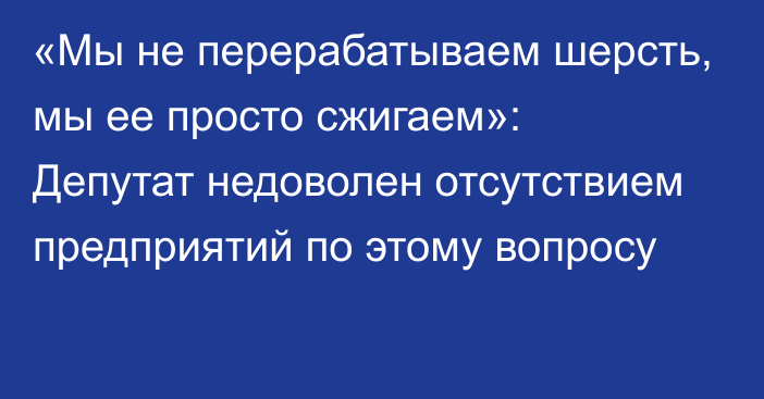 «Мы не перерабатываем шерсть, мы ее просто сжигаем»: Депутат недоволен отсутствием предприятий по этому вопросу