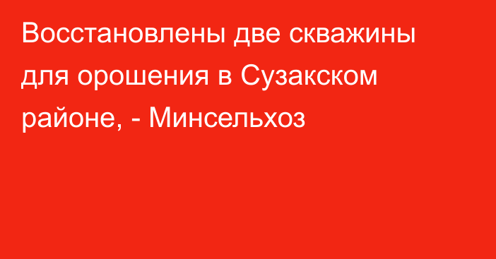 Восстановлены две скважины для орошения в Сузакском районе, - Минсельхоз