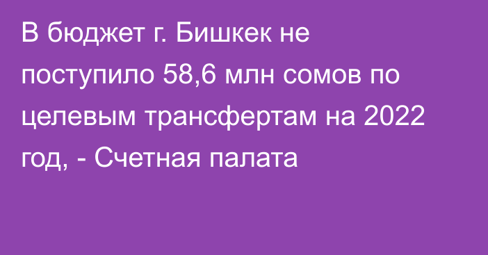 В бюджет г. Бишкек не поступило 58,6 млн сомов по целевым трансфертам на 2022 год, - Счетная палата