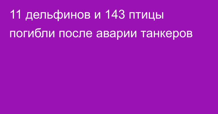 11 дельфинов и 143 птицы погибли после аварии танкеров