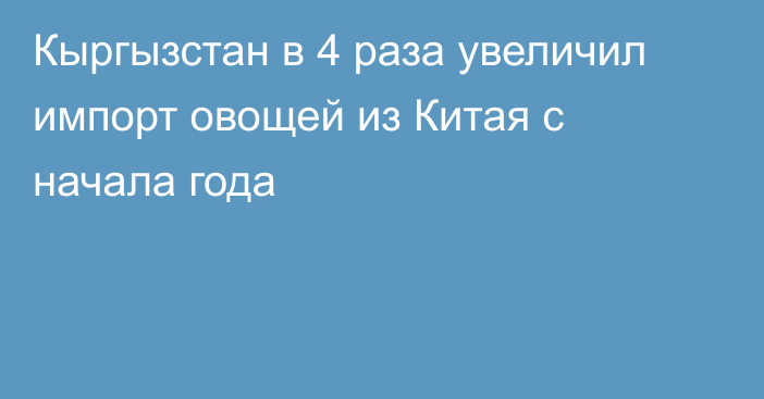 Кыргызстан в 4 раза увеличил импорт овощей из Китая с начала года