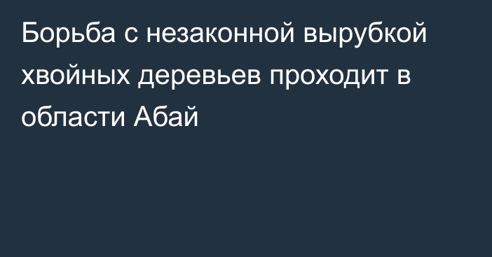 Борьба с незаконной вырубкой хвойных деревьев проходит в области Абай