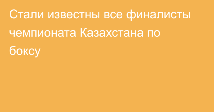 Стали известны все финалисты чемпионата Казахстана по боксу