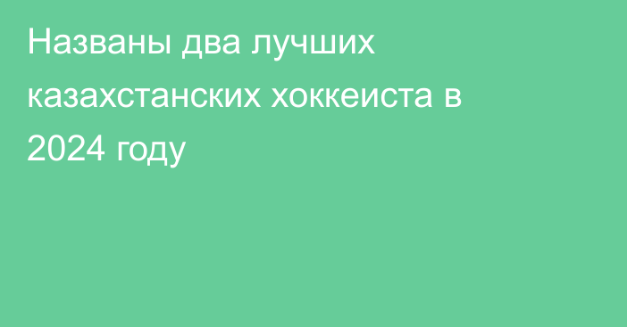 Названы два лучших казахстанских хоккеиста в 2024 году