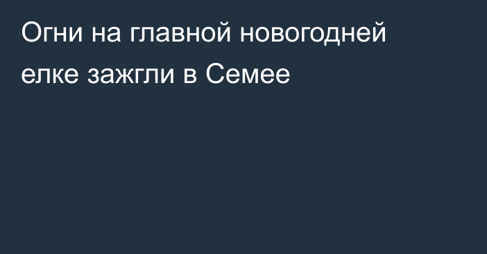 Огни на главной новогодней елке зажгли в Семее