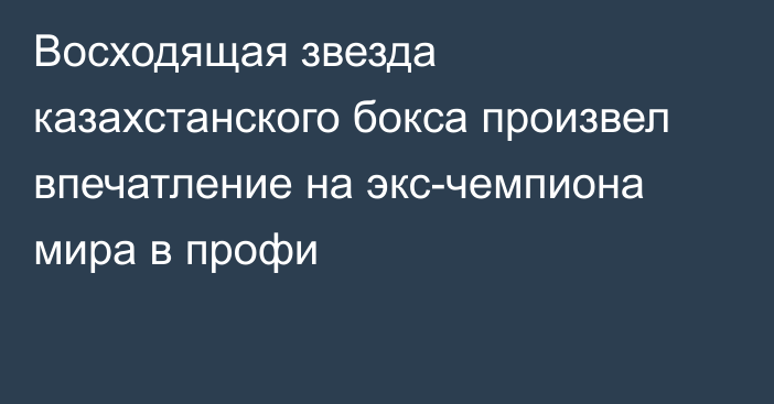 Восходящая звезда казахстанского бокса произвел впечатление на экс-чемпиона мира в профи