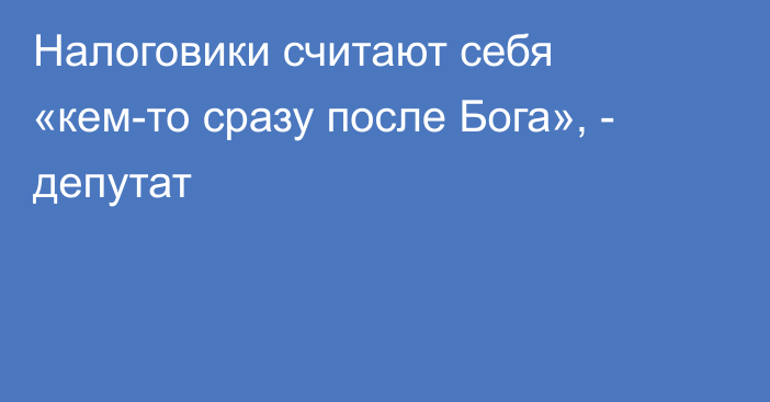 Налоговики считают себя «кем-то сразу после Бога», - депутат