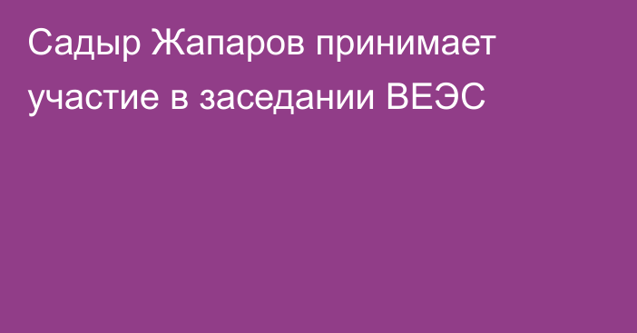 Садыр Жапаров принимает участие в заседании ВЕЭС