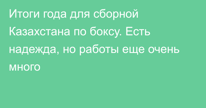 Итоги года для сборной Казахстана по боксу. Есть надежда, но работы еще очень много